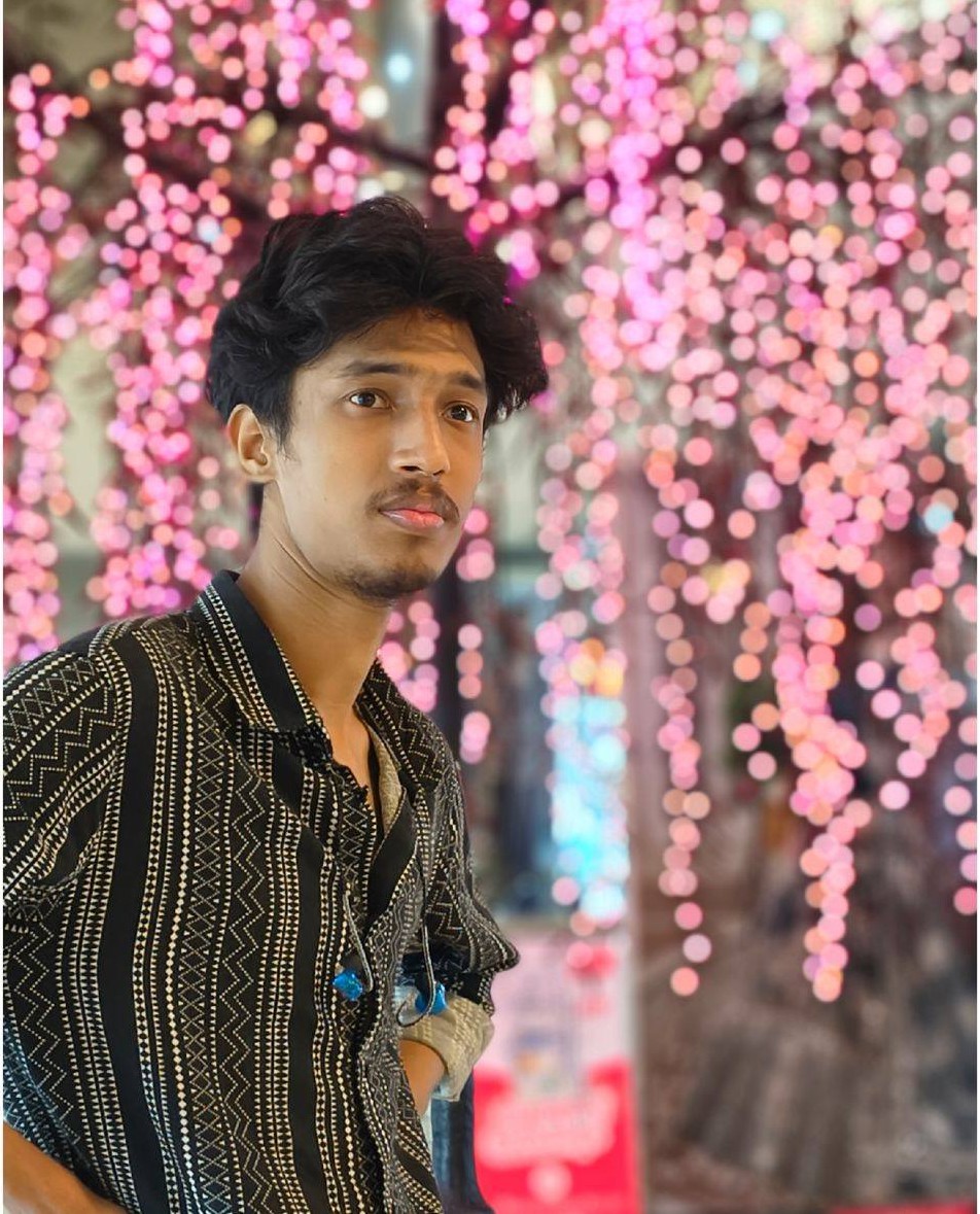 Mahamudul Hasan - Developer portrait